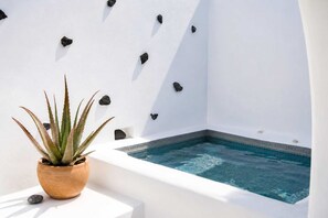 Wellnessbereich mit Whirlpool, einem Topf mit Aloe Vera und dekorativen Steinen an einer weißen Wand.