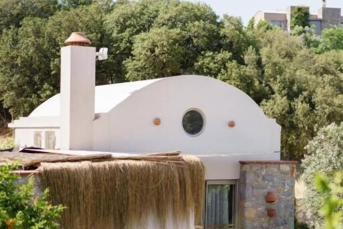 Casa básica, patio, vista al jardín | Exterior