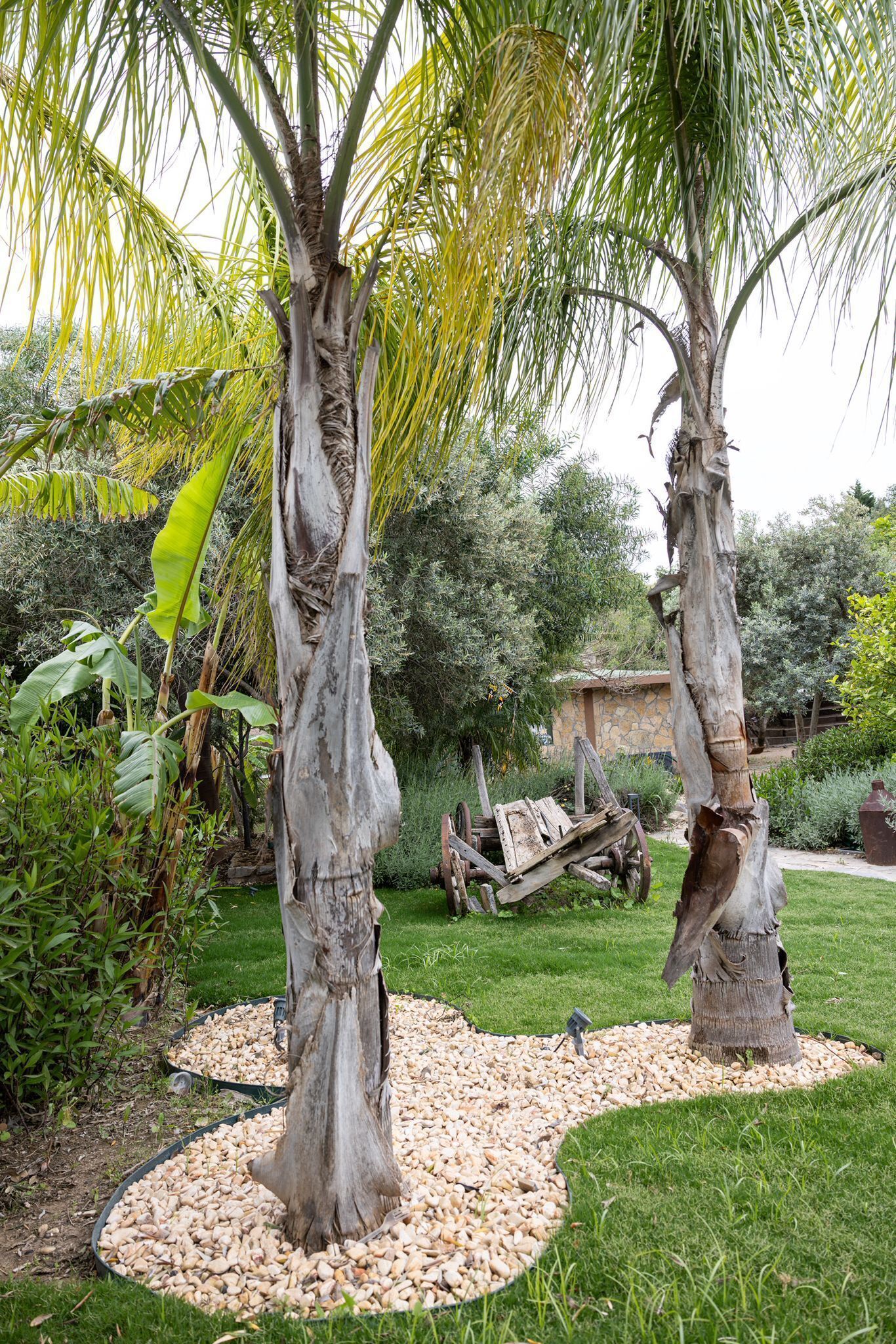 A garden with two palm trees, a stone building, and a wooden cart.