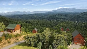 Een accommodatie in chaletstijl met meerdere gebouwen, omgeven door dicht bos en bergen op de achtergrond.