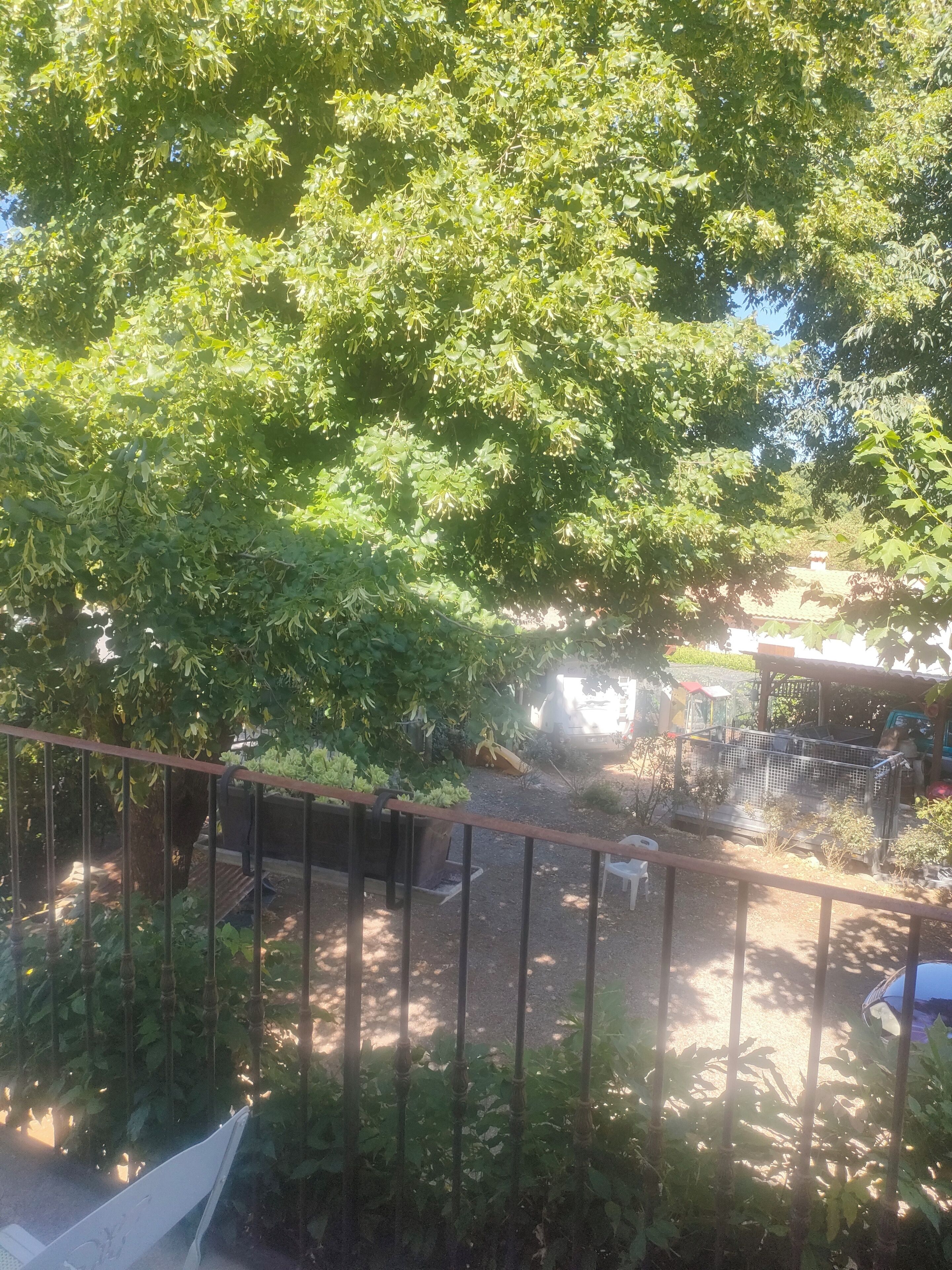 A fenced outdoor area with a tree, a bench, and a small structure.