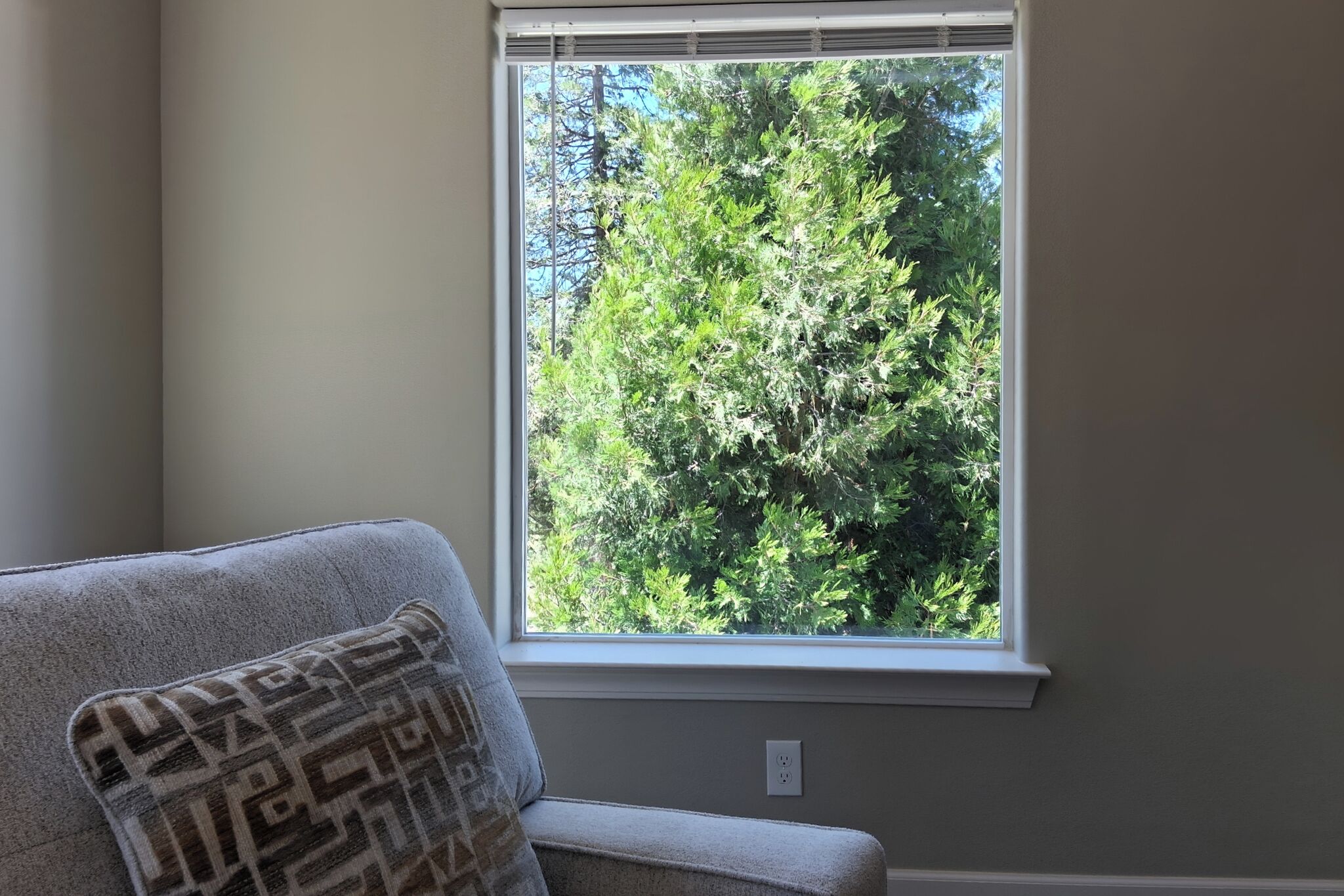 A room with a window overlooking a dense green tree.
