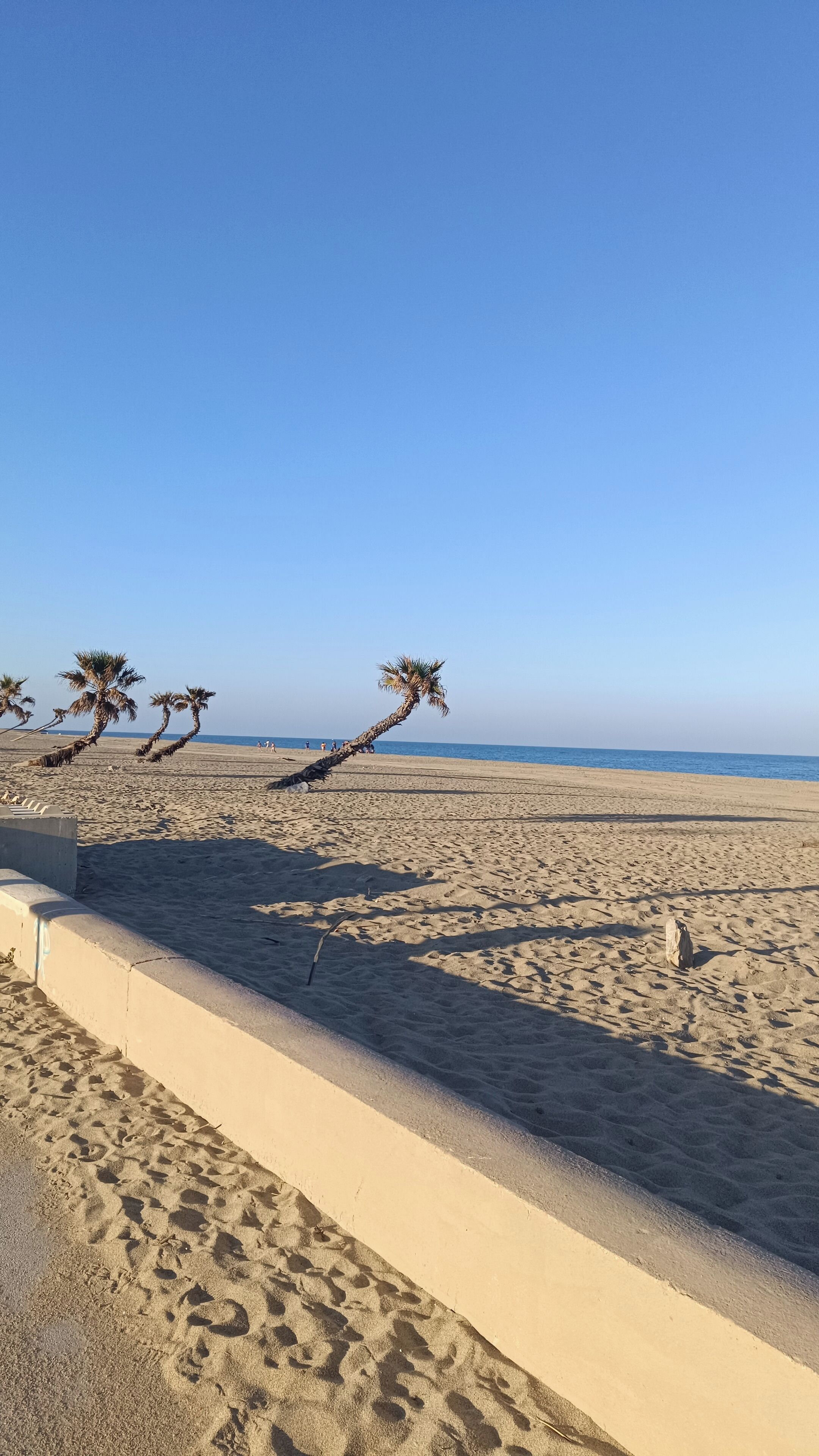 Ein Strand mit Palmen und blauem Himmel.