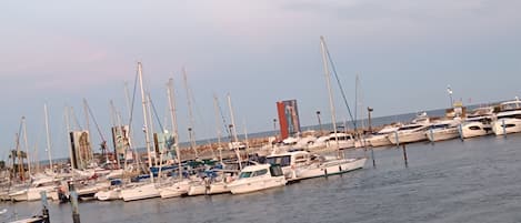 Marina