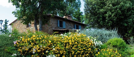 A stone house with a sloped roof, surrounded by lush greenery and flowering bushes.
