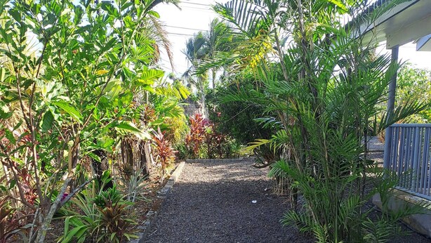 A gravel pathway flanked by various plants and trees, leading towards a building with a blue roof. - Home in Siusega - Vonnys Garden House (Vaitele)