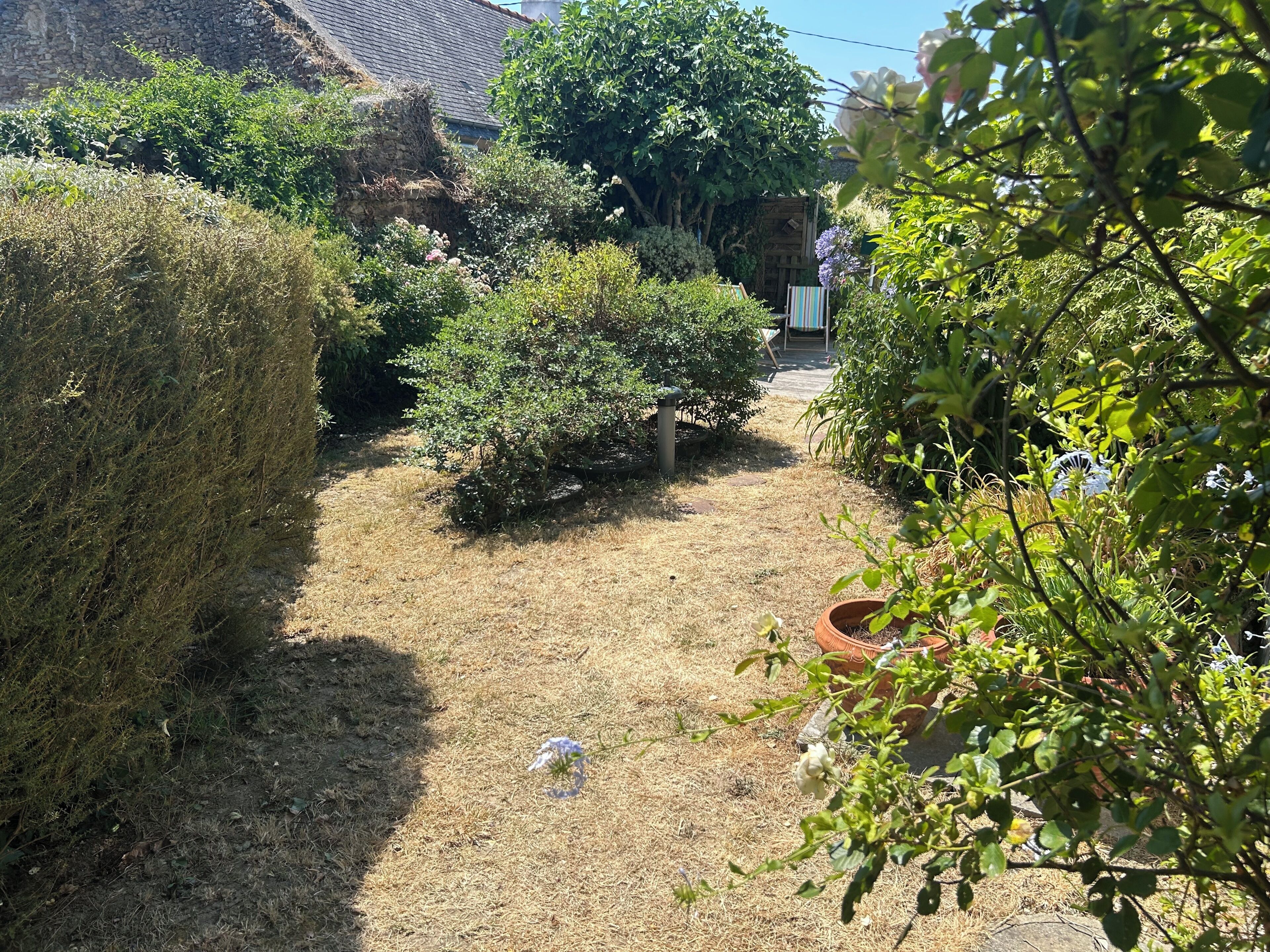 Ein Garten mit verschiedenen Pflanzen und einem Weg, der zu einem Gebäude führt.