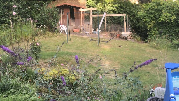 Un jardin avec une variété de plantes et de fleurs, une structure bleue avec des tuyaux, et un abri en bois en arrière-plan.