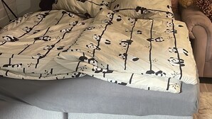 A bedroom with a bed, pillows, a teddy bear, a framed picture, and a small rug.