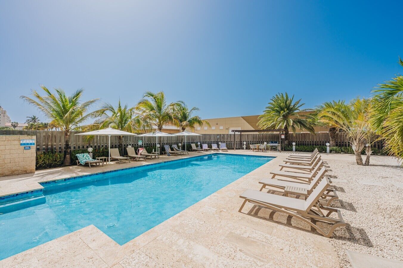 Piscina con sillas de descanso y sombrillas, rodeada de palmeras y una valla.