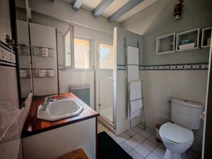 Ducha, secador de pelo y papel higiénico