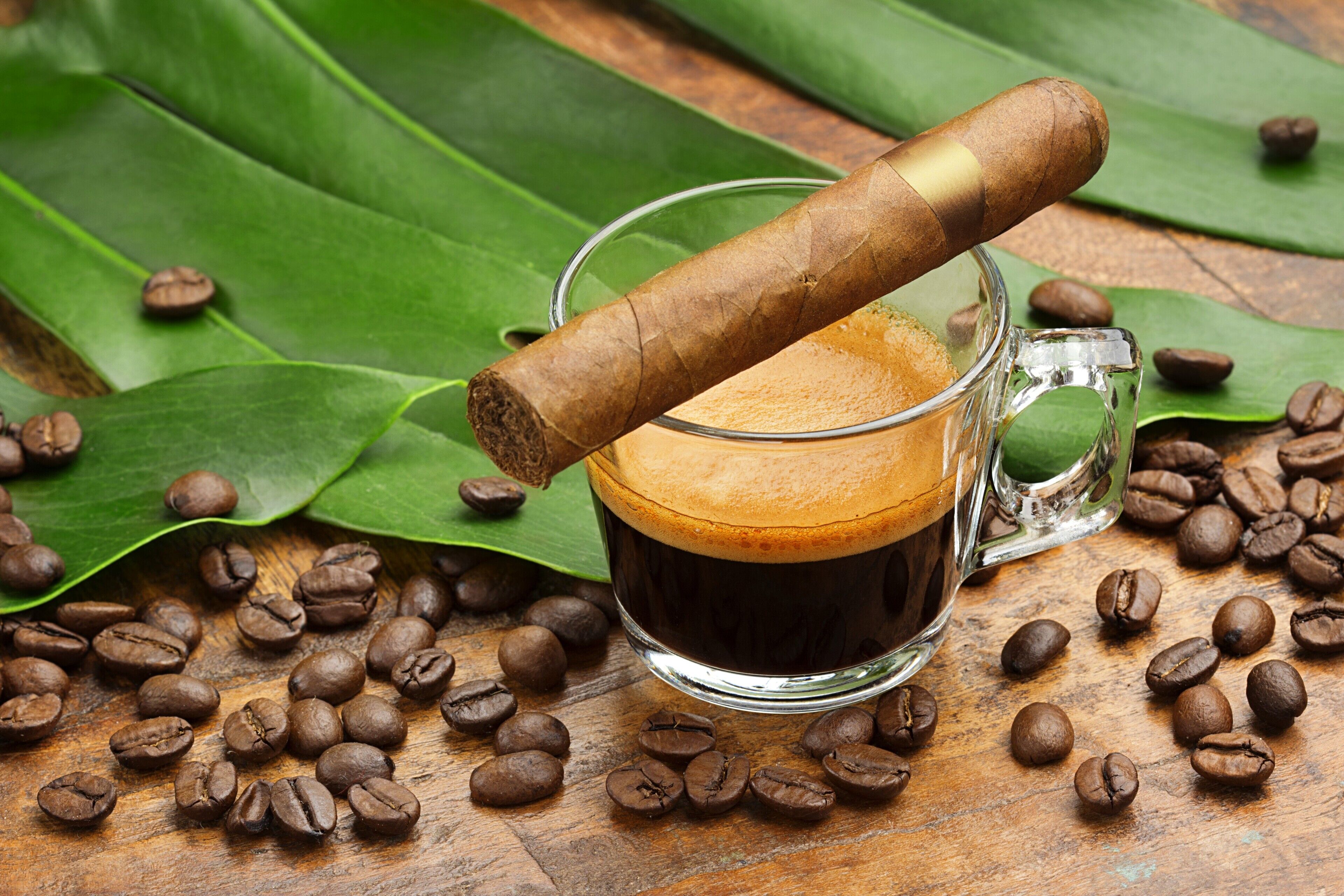 A glass mug filled with coffee and a cigar on a wooden surface with coffee beans and green leaves.