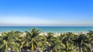 A beach with palm trees and a clear blue sky. - Private Residence at Carillon Resort - 910 (Miami Beach)