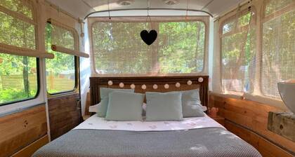 Rooftop bus, outdoor shower + bathtub (dry toilet)
