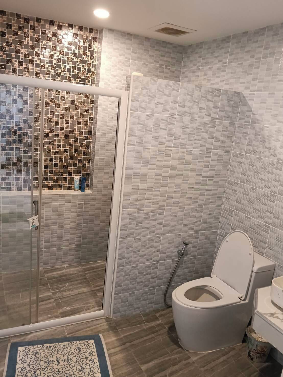 Une salle de bain équipée d’une douche, de toilettes et d’un espace douche séparé par des parois en verre.