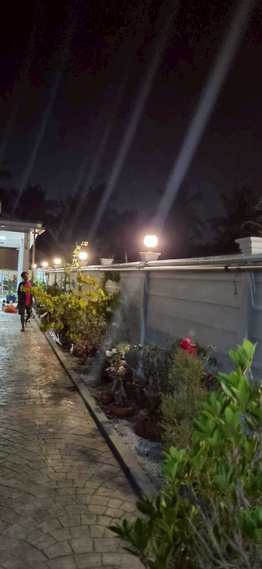 A nighttime outdoor area with a paved walkway, potted plants, and a person walking.