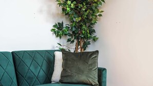 Ein smaragdgrünes Sofa mit Kissen, ein Topfpflanze und eine weiße Wand.