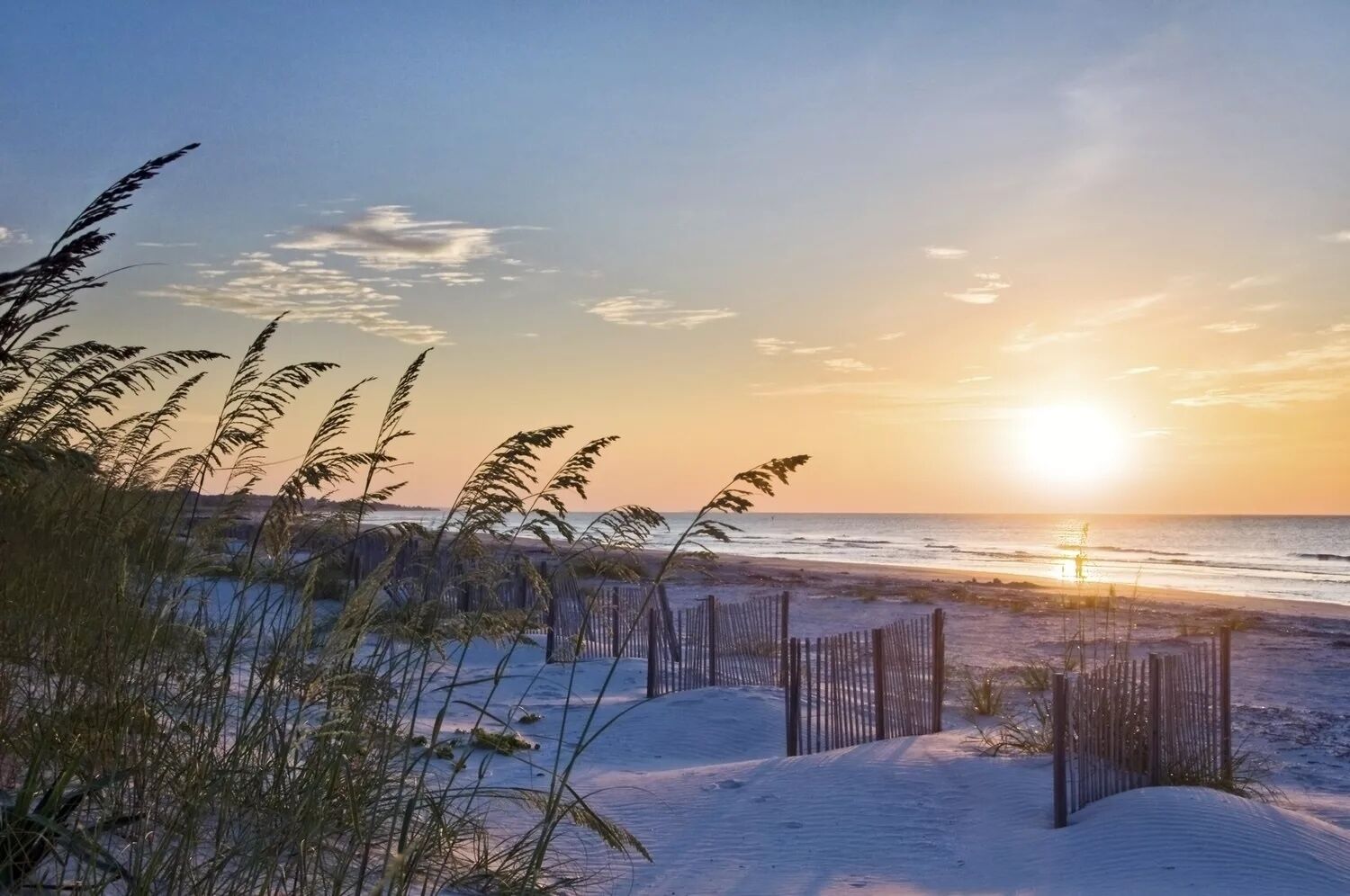 A beach scene with a fence, sand dunes, and grass in the foreground.