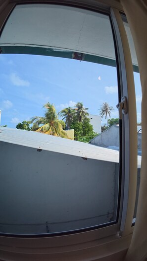 Una ventana con vista a un edificio y palmeras.