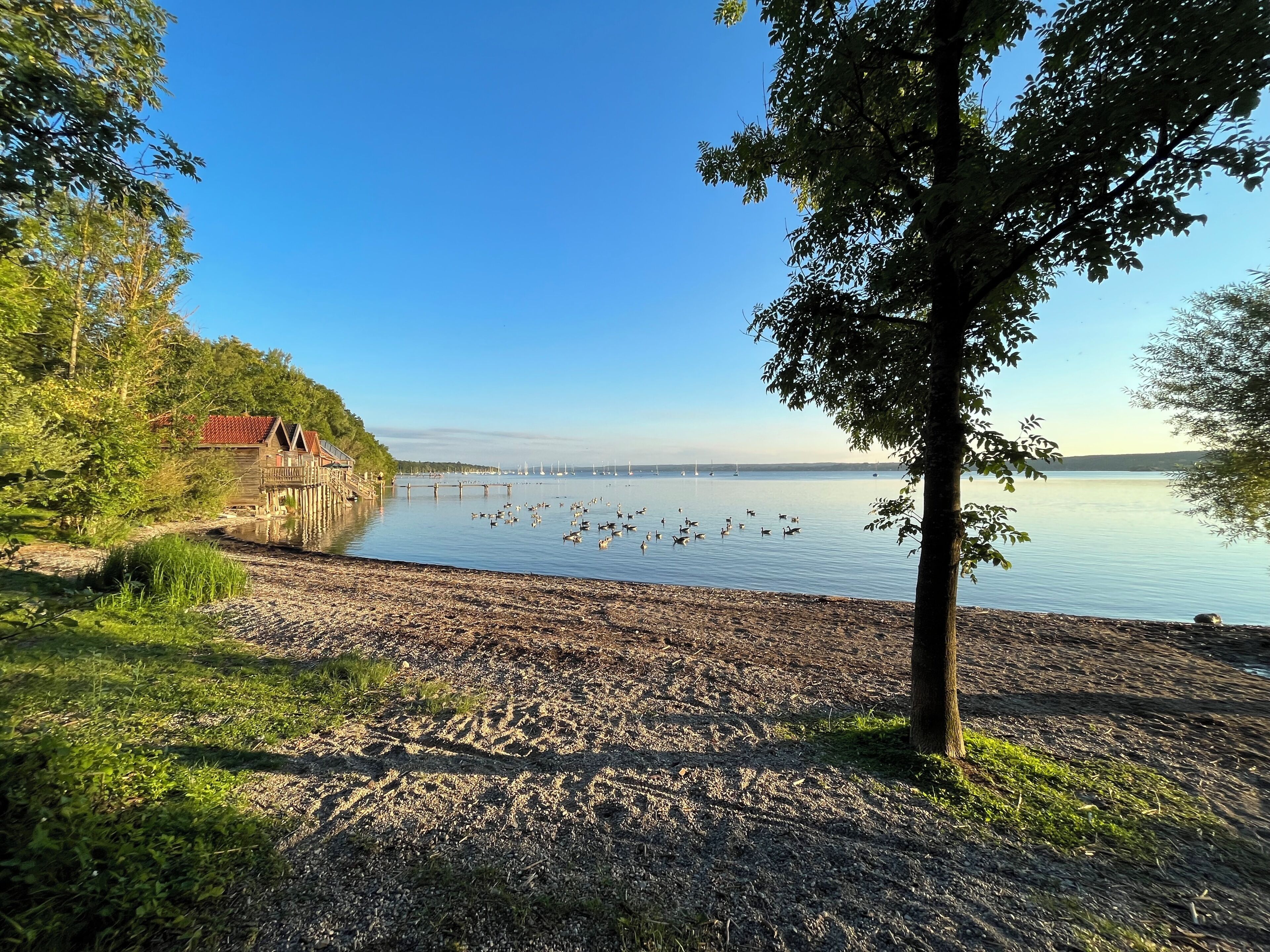 Une vue sur le lac, avec un quai en bois, un petit bâtiment doté d’un toit rouge et un ciel dégagé.