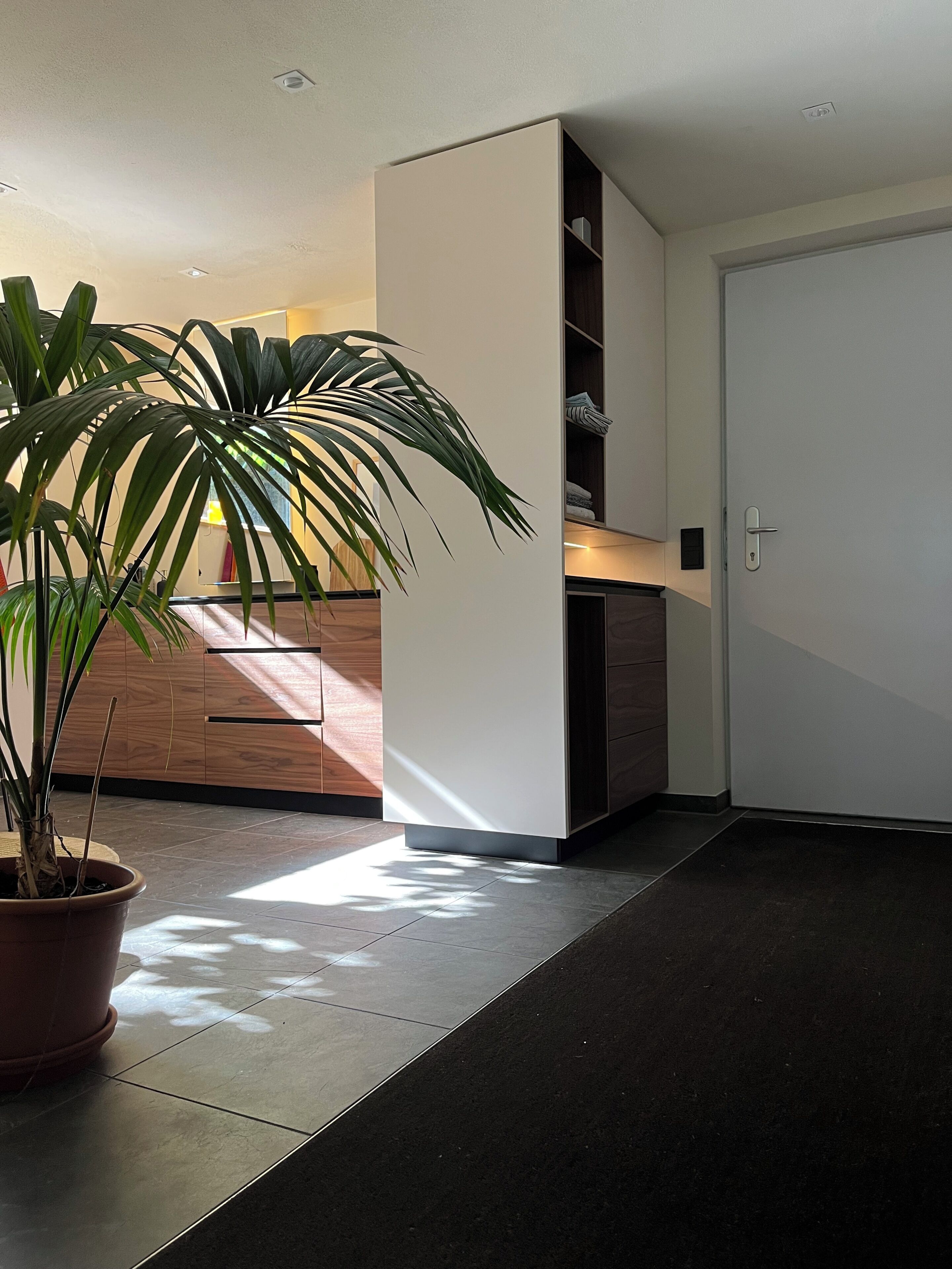 Ein modernes Interieur mit einem Blumentopf, einem weißen Schrank und einer geschlossenen Tür.