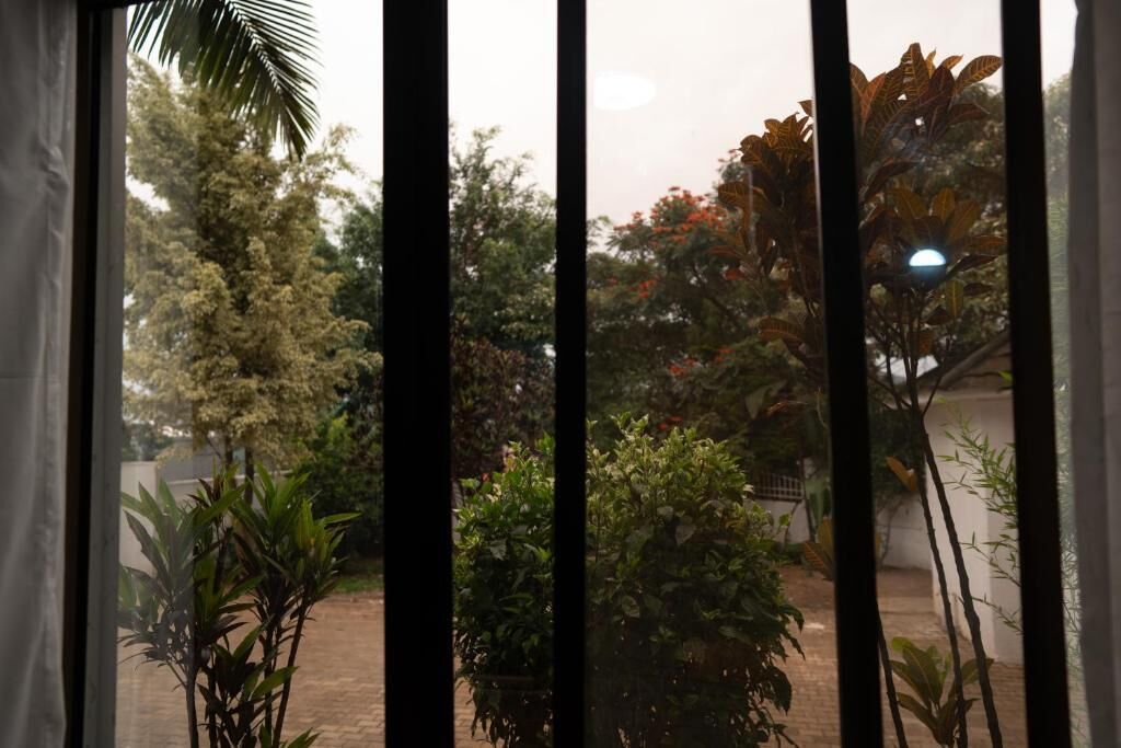 Vista a través de una ventana con persianas verticales, mostrando un jardín con diversas plantas y árboles.