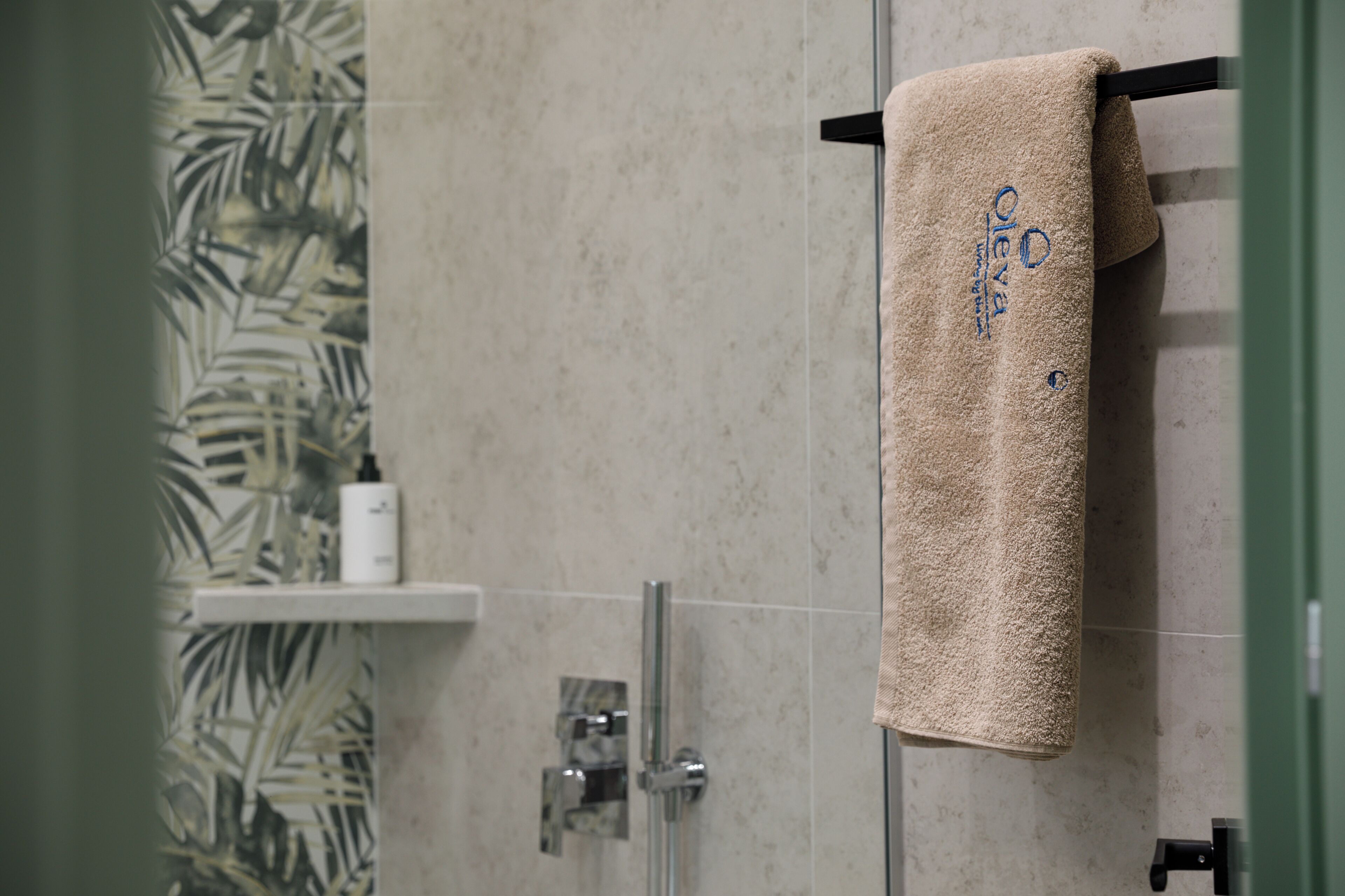 Shower, towels, toilet paper