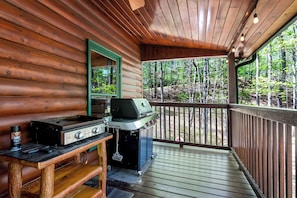 Property grounds - 5 min to Aska Adventure area! Hot Tub + Fireplace, Dog Friendly, Fire pit (Blue Ridge)