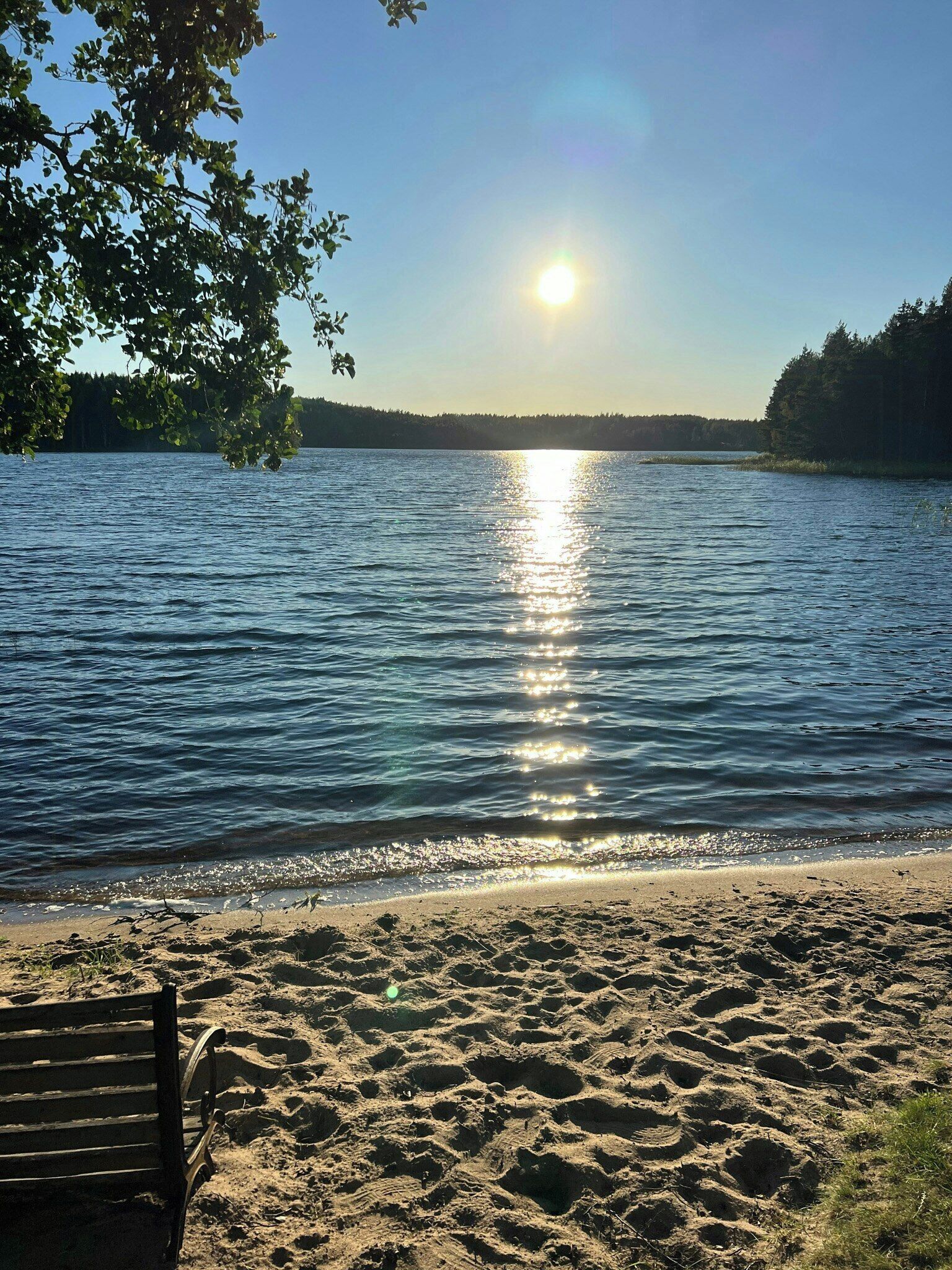 En strand med en träbänk och en stilla sjö som speglar solen.