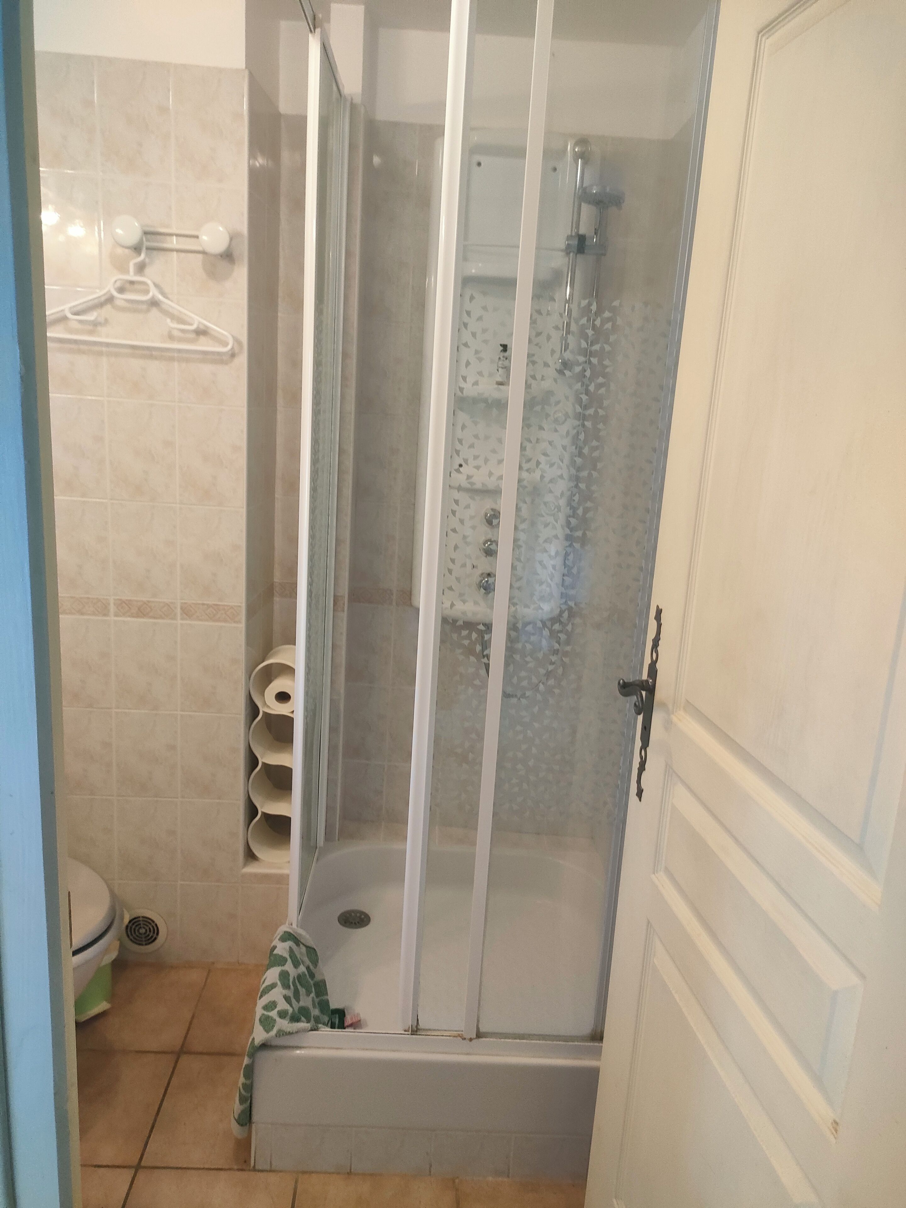 Shower, towels, soap, toilet paper