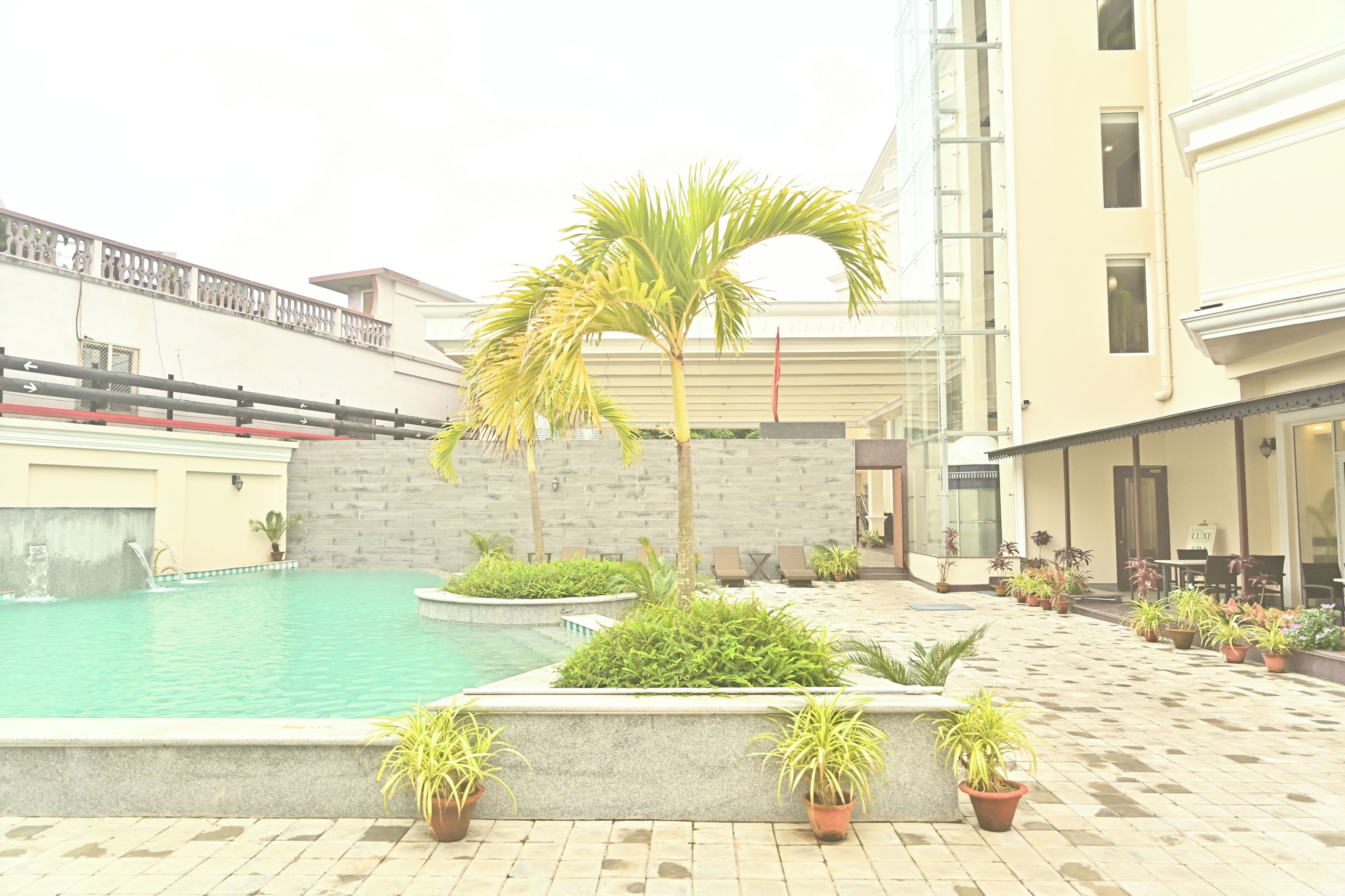 A pool area with a palm tree, potted plants, and a building with a balcony.
