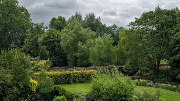Um jardim exuberante com diversas plantas e árvores, um gramado bem cuidado e um muro de pedra.