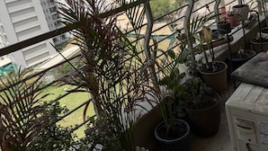 A balcony with potted plants and a view of high-rise buildings. - Beautiful 3-bedroom apartment with AC in cool Noida neighborhood (Noida)