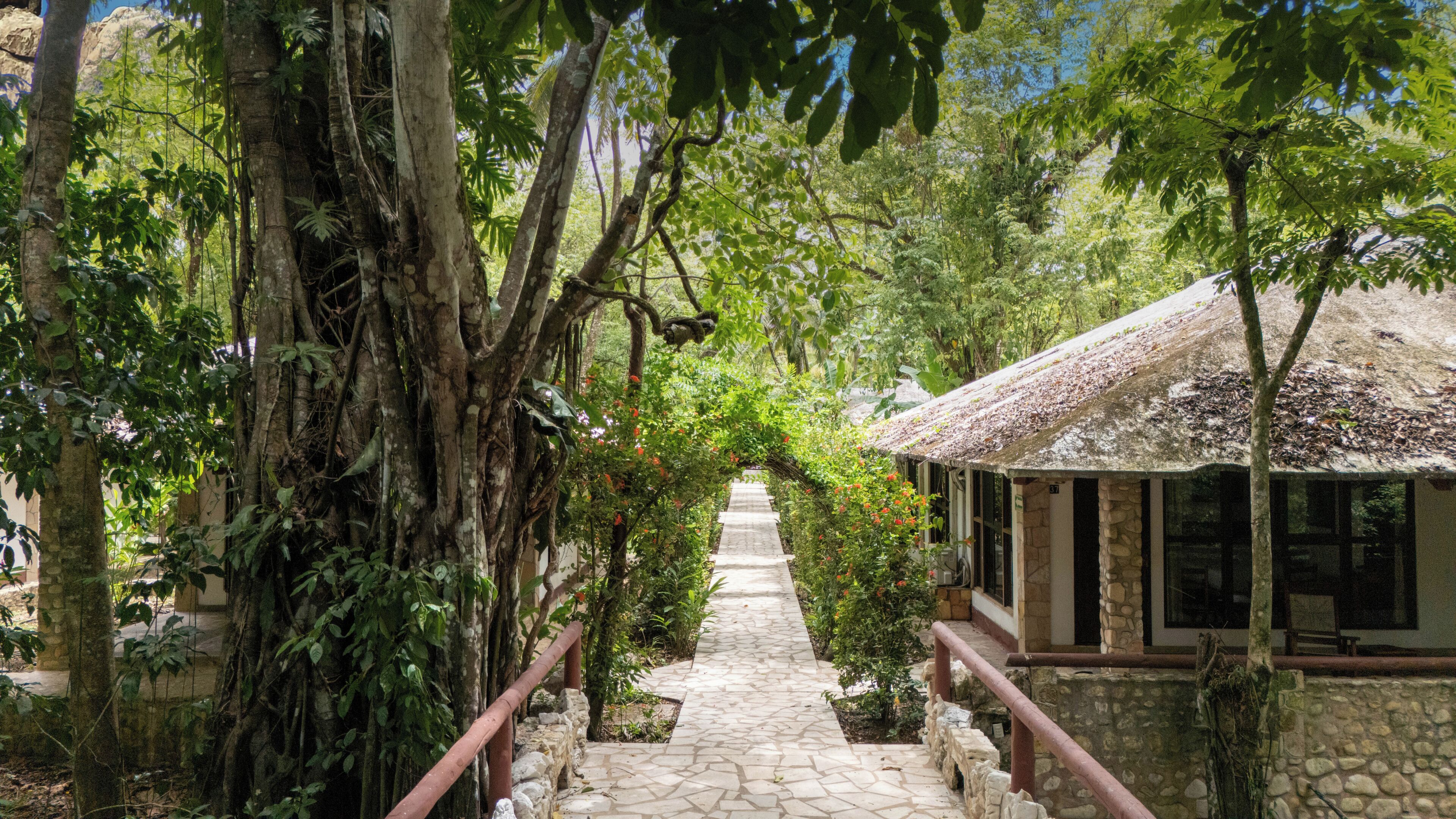 Un chemin de pierres mène à un bâtiment dont le toit est recouvert de chaume, le tout étant entouré d’une végétation luxuriante et d’arbres.