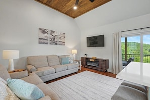 TV, fireplace