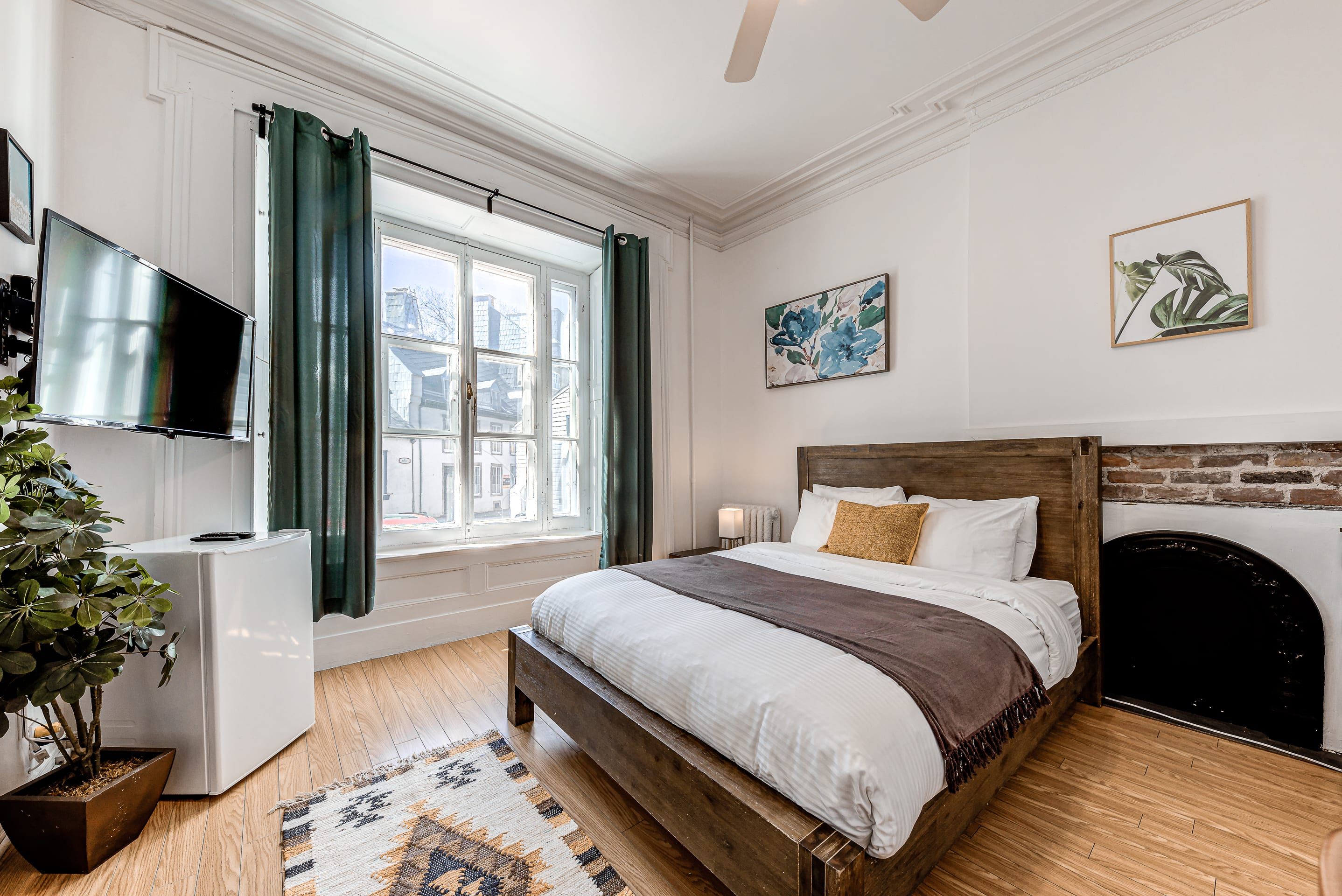 A bedroom with a bed, a television, a window with curtains, a plant, and artwork on the wall.