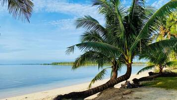 A beach with palm trees and a clear view of the water.