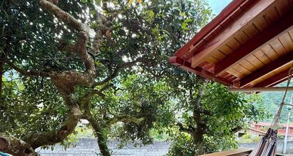 A conveniently located cabin just a few minutes from downtown Baños; pet-friendly.