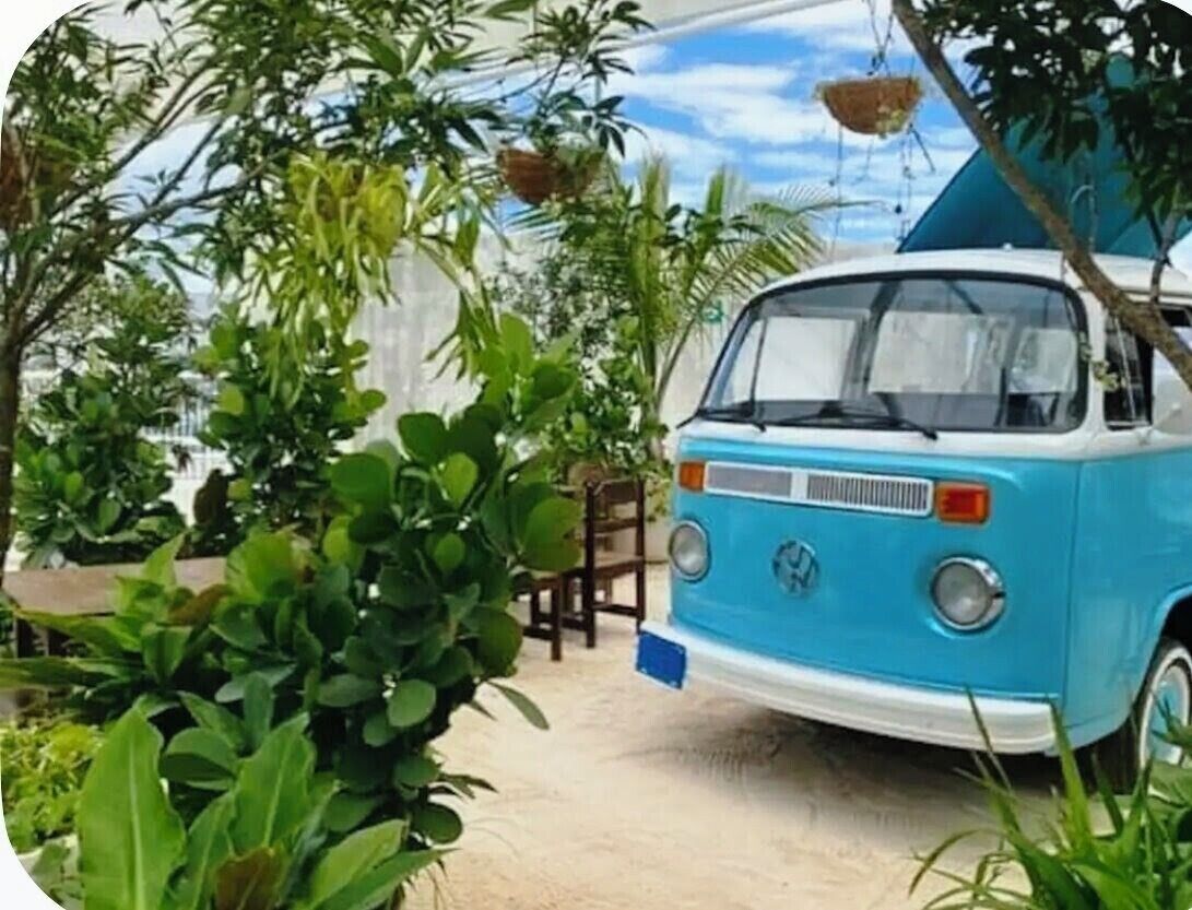 A vintage blue van parked in a lush garden with dense foliage and a wooden chair.