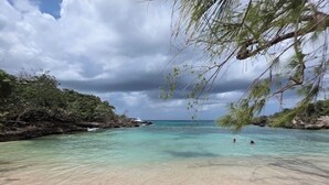 A beach with clear turquoise water, sandy shore, and lush greenery.