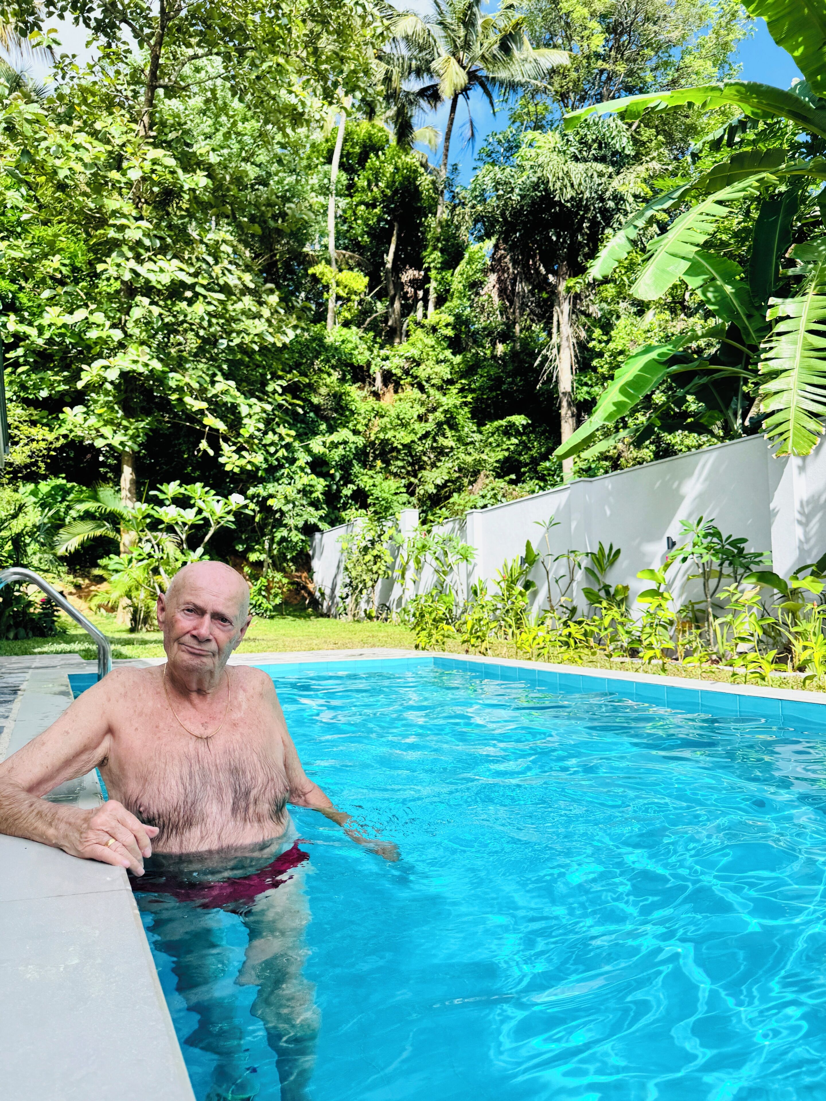 Piscina exterior rodeada de abundante vegetación y una pared blanca.