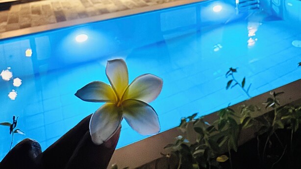 A swimming pool with a flower in the foreground, a patio area with seating, and a building with large windows and doors. - Namo Villa Habaraduwa (Habaraduwa)