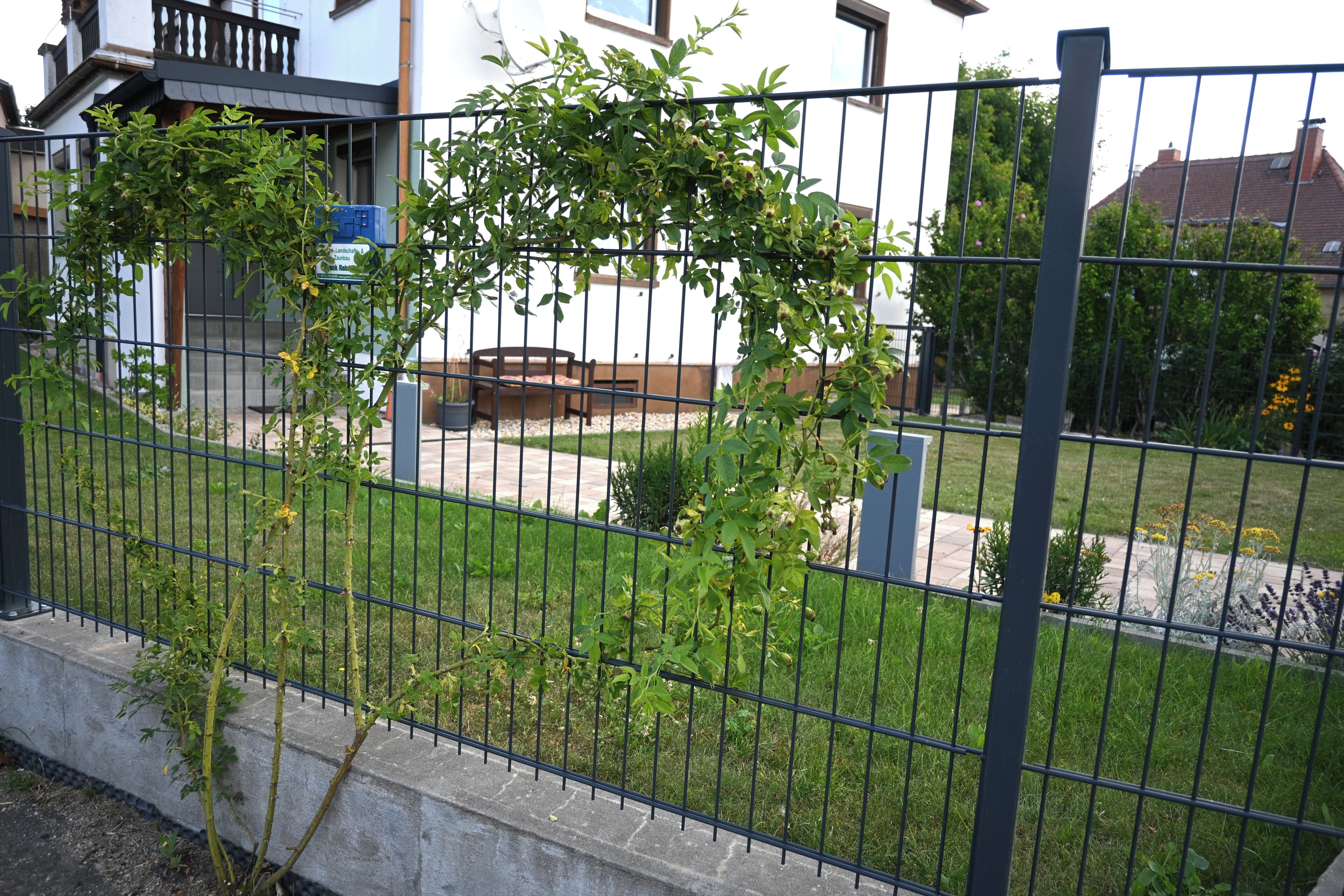 Ein eingezäunter Außenbereich mit einer Bank, einem kleinen Garten und einem Gebäude im Hintergrund.