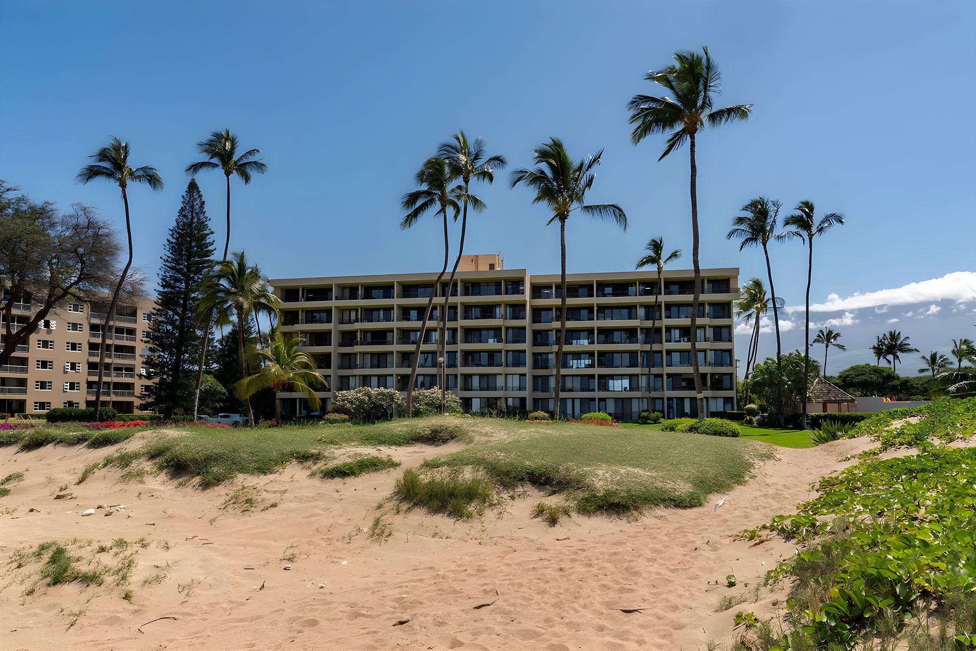 Un hôtel à plusieurs étages, doté d’un toit plat, entouré de palmiers et bordé d’une plage de sable.