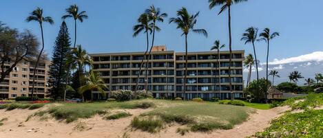 Un hotel de varios pisos con techo plano, rodeado de palmeras y una playa arenosa.