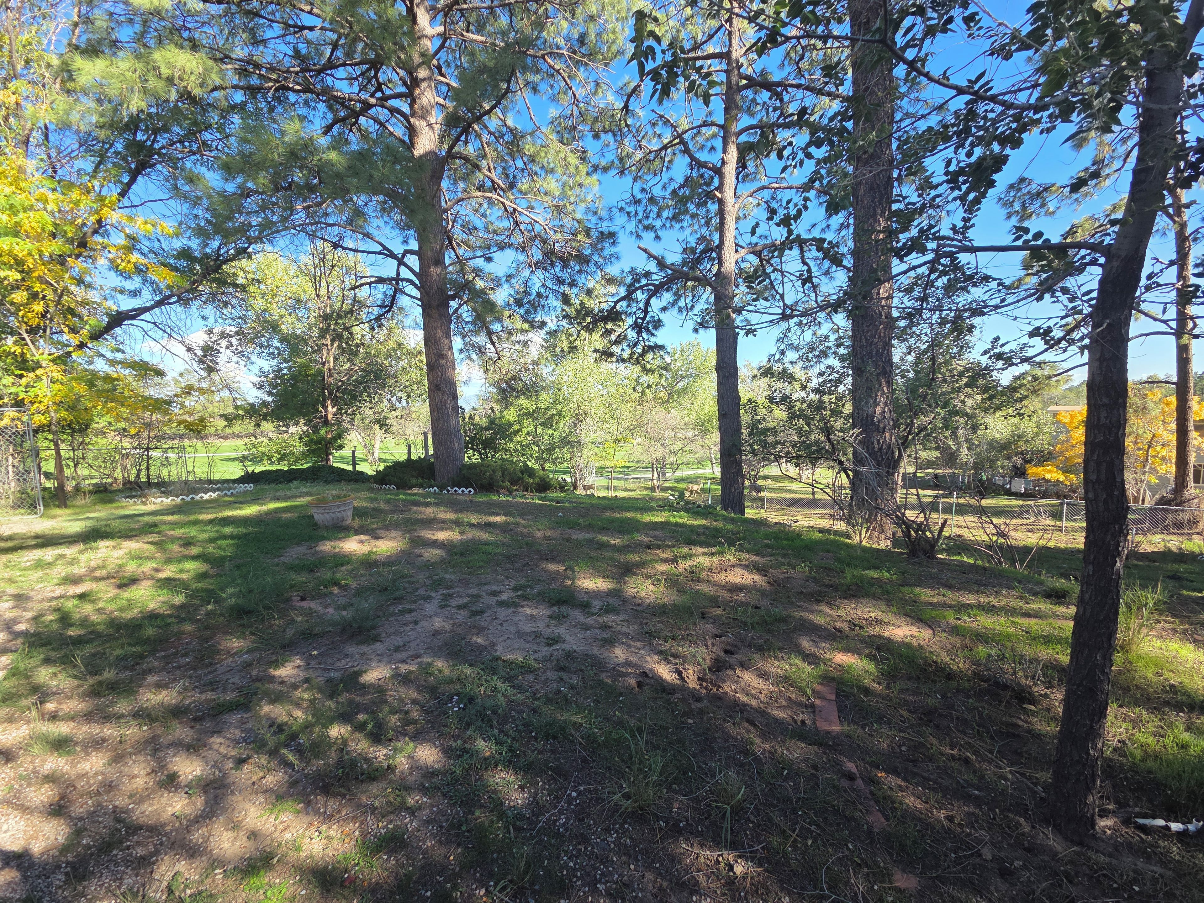 A wooded area with a dirt path, trees, and a fenced field.
