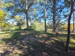 A wooded area with a dirt path, trees, and a fenced field. - Tranquil 3 BDR family friendly home. 10min to town. 20min to Pajarito Ski Hill. (Los Alamos)