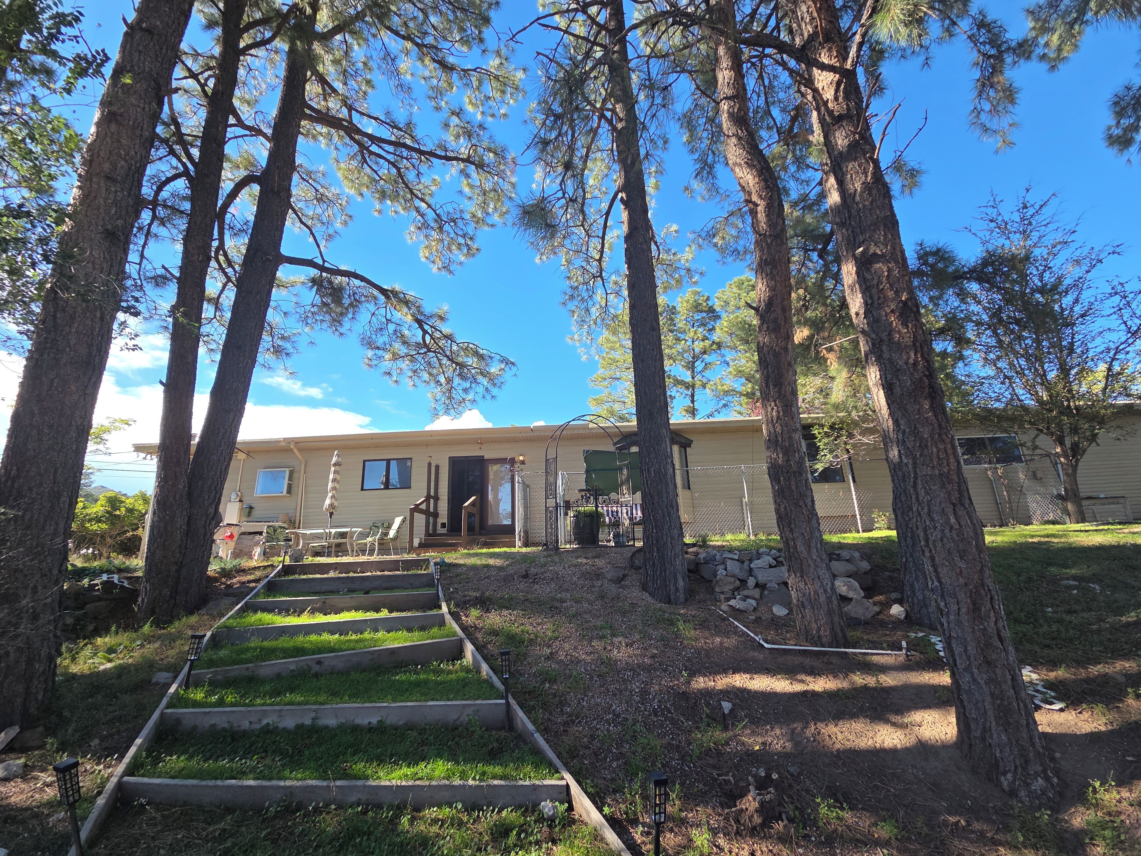 A residential property with a paved pathway leading to a house, surrounded by tall trees.