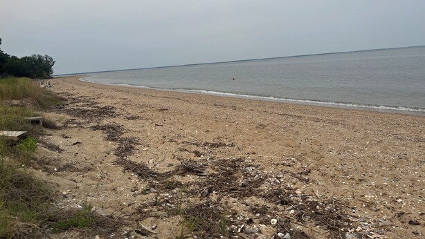 Ein Strand mit sandigem Ufer, einigem Treibgut und ruhiger See.