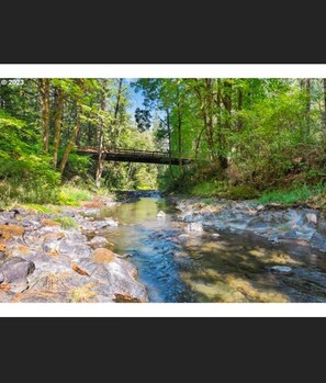 Miscellaneous - 6-Bedroom Cabin on 7.5 Private Acres Forest, Wine & Coast Nearby (Gales Creek)